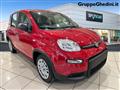 FIAT PANDA 1.0 FireFly S&S Hybrid Pandina