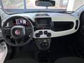 FIAT PANDA 1.0 FireFly S&S Hybrid Pandina