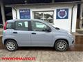 FIAT PANDA 1.2 Easy  CLIMA!!!!