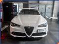 ALFA ROMEO GIULIA 2.2 Turbodiesel 210 CV AT8 AWD Q4 Tributo Italiano