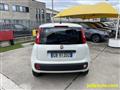 FIAT PANDA 1.2 69CV - OK NEOPATENTATI