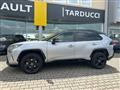 TOYOTA RAV4 2.5 HV (218CV) E-CVT 2WD Style