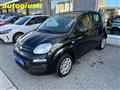 FIAT PANDA 1.2 Easy  70CV  ANCHE PER NEOPATENTATI