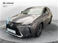 LEXUS UX Hybrid Executive