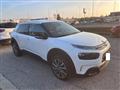 CITROEN C4 CACTUS 1.5 BlueHDi 100 CV S&S Shine