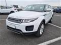 LAND ROVER Range Rover Evoque 2.0 TD4 150CV 5p. Business Edition Pure