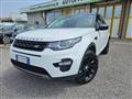 LAND ROVER DISCOVERY SPORT 2.0 TD4 150 CV Auto Business Ed. Premium SE