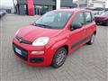 FIAT PANDA 1.2 EasyPower Easy