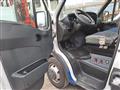 IVECO Daily 35C12 cella refrigerante Daily 29L12CP 2.3 Hpi TDI PC-TN Combi L