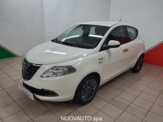 LANCIA YPSILON 1.2 69 CV 5 porte Elle