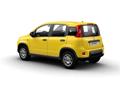 FIAT PANDA 3ª serie 1.0 FireFly S&S Hybrid