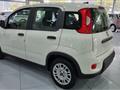 FIAT PANDA 1.0Hybrid 5 Posti sensori adas