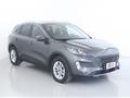 FORD KUGA 2.0 EcoBlue 120 CV aut. 2WD Titanium X