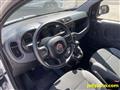 FIAT PANDA 1.0 FireFly S&S Hybrid OK NEOPATENTATI