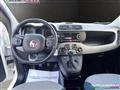 FIAT PANDA 1.2 69CV Lounge NEO PATENTATI