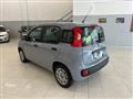 FIAT PANDA 1.2 Easy ADATTA NEOPATENTATI