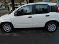 FIAT PANDA 1.0 FireFly S&S Hybrid Pandina