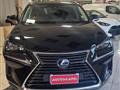 LEXUS NX Hybrid 4WD Luxury