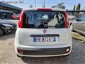 FIAT PANDA 1.2 POP NEOPATENTATI FR812NY