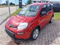 FIAT PANDA 1.0 70cv Hybrid Panda My23