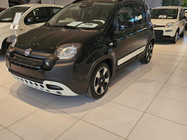 FIAT PANDA 1.0 FireFly S&S Hybrid Pandina