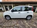 FIAT Panda 1.2 Lounge s&s 69cv my19