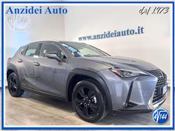 LEXUS UX Hybrid Business