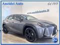 LEXUS UX Hybrid Business