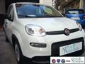 FIAT PANDA 1.0 FireFly S&S Hybrid Pandina Urban Radio Km 0