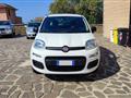 FIAT PANDA 1.2 Pop -NO OBBLIGO FINANZIAMENTO-