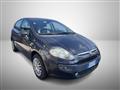 FIAT PUNTO 1.2 5 porte Dynamic ADATTA A NEO PATENTATI