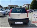 FIAT PUNTO 1.2 5 porte Neopatentati