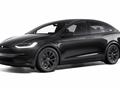 TESLA MODEL X Long Range AWD 6 posti FSD