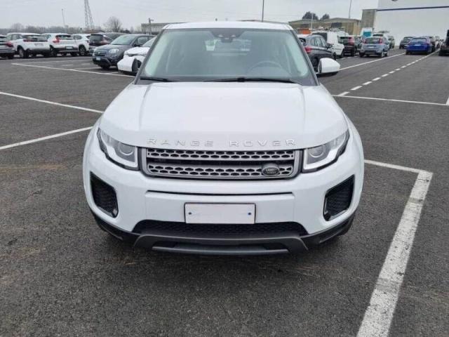 LAND ROVER Range Rover Evoque 2.0 TD4 150CV 5p. Business Edition Pure