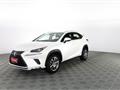 LEXUS NX NX Hybrid 4WD Business