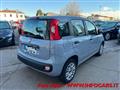 FIAT PANDA 1.2 Easy NEOPATENTATI