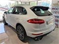 PORSCHE Cayenne 3.0 D PLATINUM EDITION