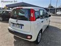 FIAT PANDA 1.2 POP NEOPATENTATI FR812NY