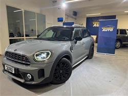 MINI COUNTRYMAN 2.0 Cooper S Business Countryman Automatica