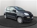 FIAT PANDA My23 1.0 70cv Hybrid Panda