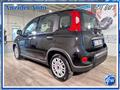 FIAT PANDA 1.0 FireFly 70 Cv Hybrid Pack City