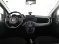 FIAT PANDA 1.0 FireFly 70cv S&S Hybrid City Cross