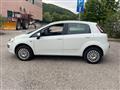 FIAT PUNTO 1.4 5 porte Dynamic Natural Power