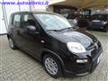 FIAT PANDA 1.0 FIREFLY 70 CV S&S HYBRID KM0