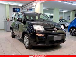 FIAT Panda 1.0 FireFly S&S Hybrid MY24 KM ZERO!!! IVATA NEOPATENTATI