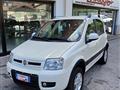 FIAT PANDA 1.3 D Multijet 4x4 Diesel