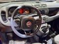 FIAT PANDA 1.2 EasyPower Easy