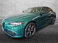 ALFA ROMEO GIULIA 2.0 Turbo 280 CV AT8 AWD Q4 Tributo Italiano