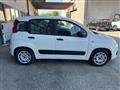 FIAT PANDA 1.2 EasyPower Easy