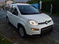 FIAT PANDA 1.0 FireFly S&S Hybrid Pandina